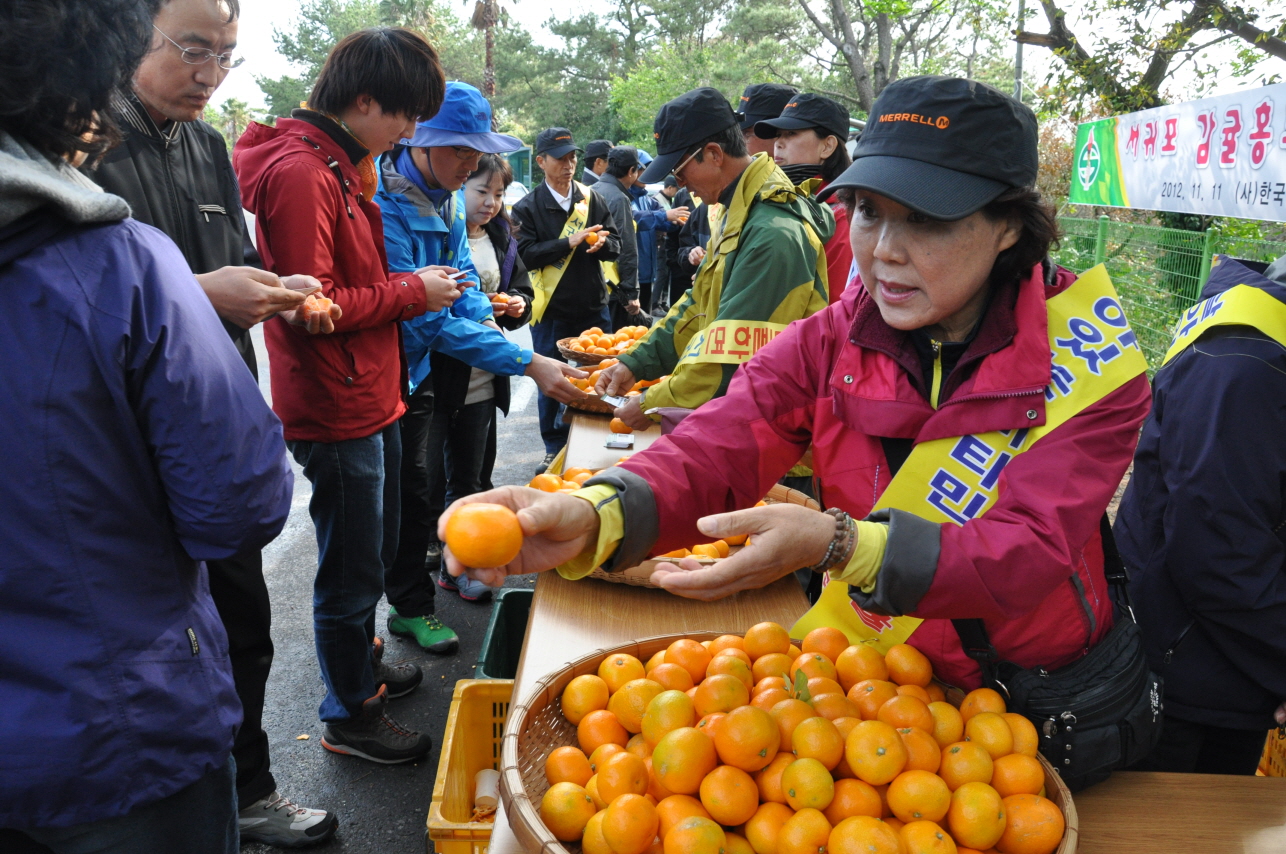 감귤 무료시식 및 판촉 홍보행사